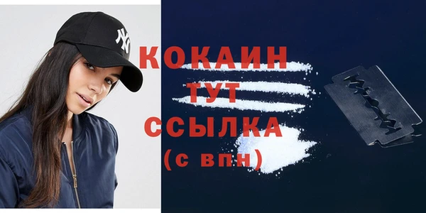 гидра Шадринск