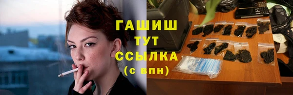 гидра Шадринск